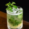 Fresh Mint 